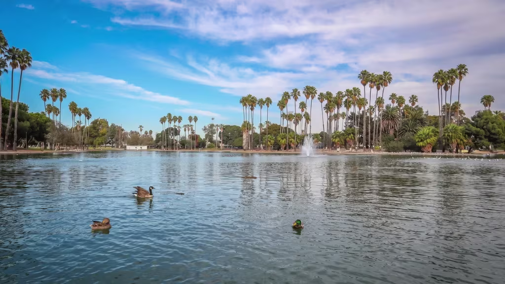 A palm-lined lake and fountain anchor this ground-level scenic park view in Alondra Park