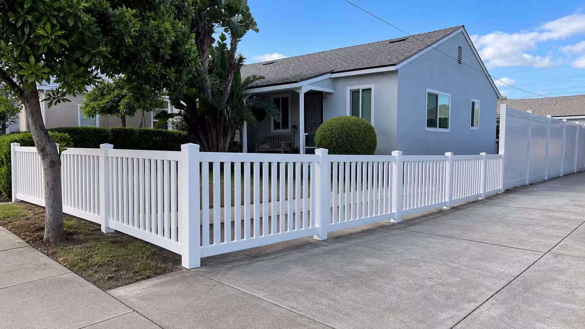 Bird of paradise planting borders this White vinyl picket fence crossing the Pacoima driveway and lawn frontage