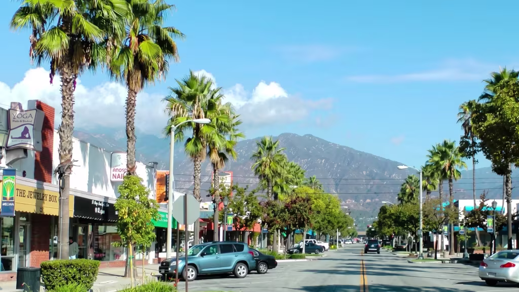 Palms line a commercial boulevard through Arcadia, with mountains rising behind in this street-level view