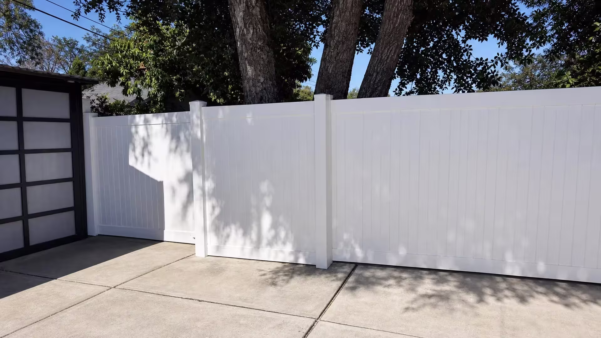 White vinyl privacy fence tracing a concrete side passage beneath a mature multi-trunk tree in Pasadena