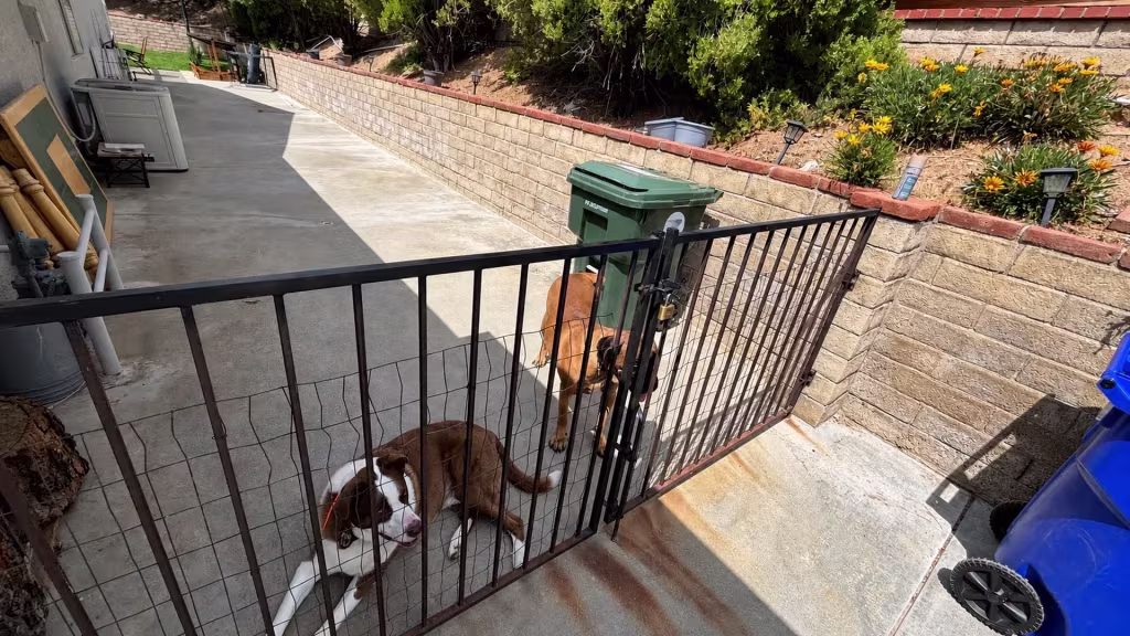 Before installation, a black metal gate encloses a side yard with dogs, trash bins, a retaining wall, and flowers.