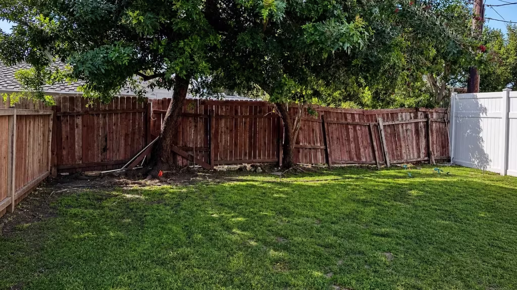 Before installation, a leaning and damaged wood fence runs beneath trees along a grassy backyard.