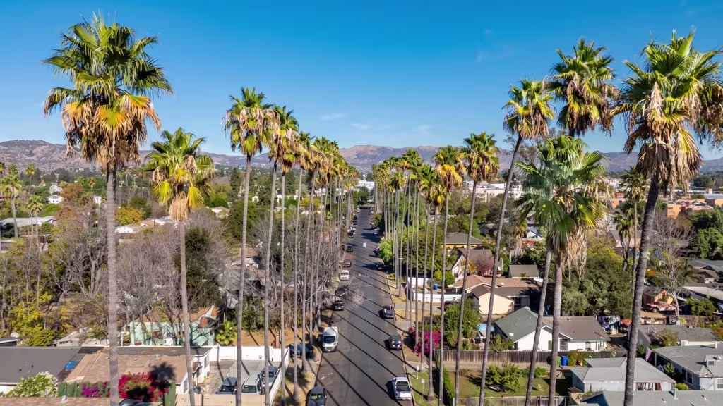 A palm-lined street runs through Canoga Park's residential and commercial neighborhood in this elevated view