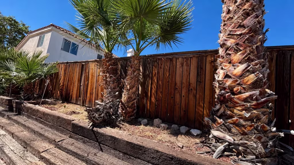Before installation, a weathered wood fence stands behind palm trees and terraced dry landscaping.