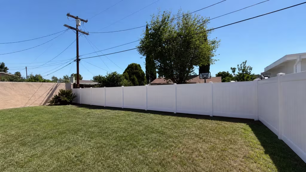 Citrus trees and a tall evergreen rise behind this White vinyl fence running through an Encino backyard