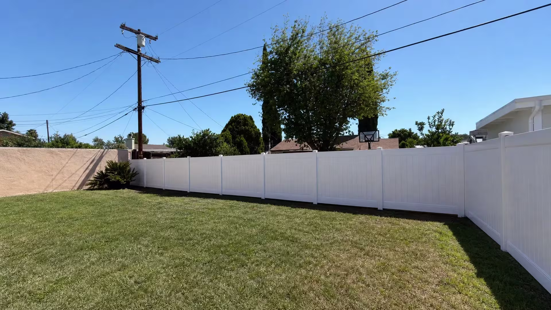 Citrus trees and a tall evergreen rise behind this White vinyl fence running through an Encino backyard