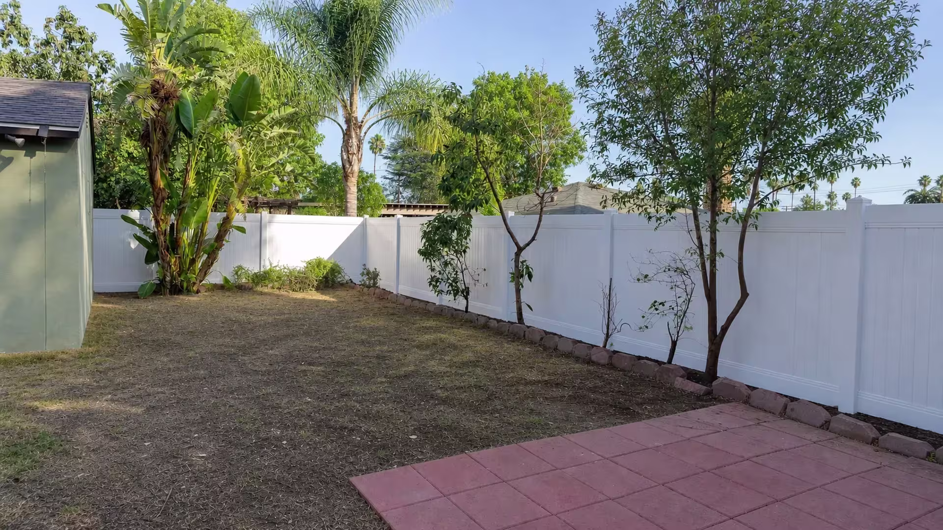 Banana plants and a red paver patio border this White vinyl fence enclosing a Pasadena backyard behind low stone edging