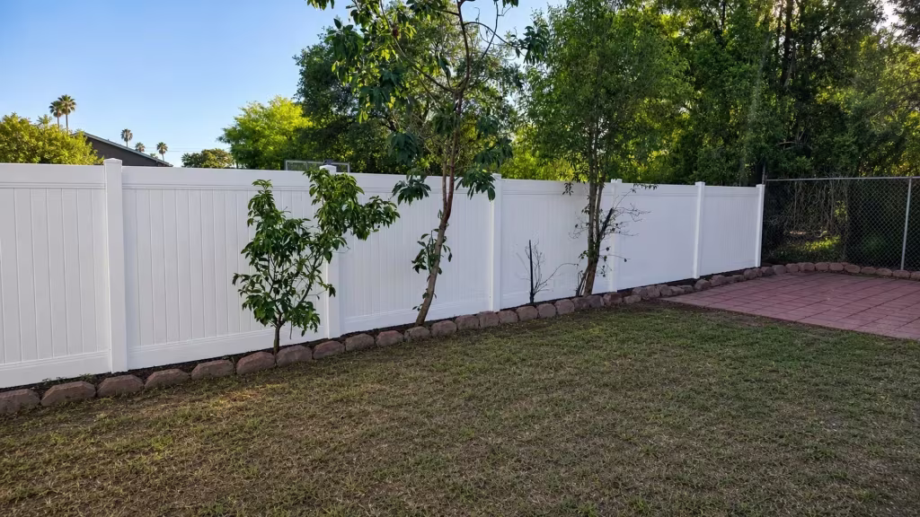 Fruit trees and a leftover strip of chain-link border this White vinyl fence in a Pasadena yard