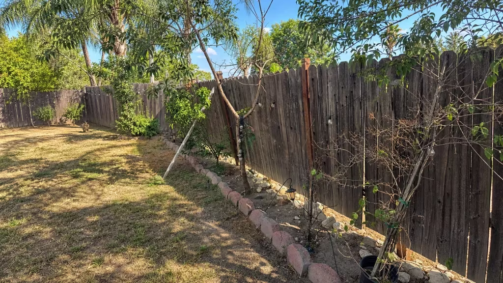 Before installation, a weathered wood fence lines a dry lawn and garden bed beneath trees and string lights.