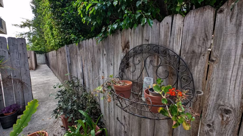 Before installation, a weathered wood fence lines a narrow concrete walkway filled with potted plants.