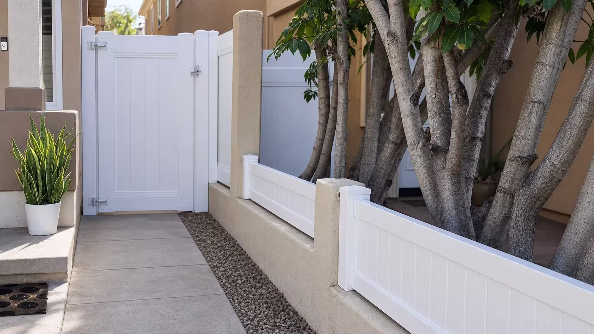 A multi-trunk tree frames this White vinyl gate on the privacy fence beside a porch and steps in Redondo Beach