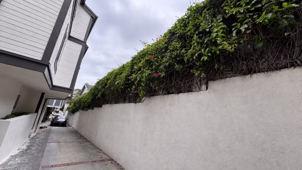 Before installation, a dense hedge and vines top a long white stucco wall beside a paved driveway.