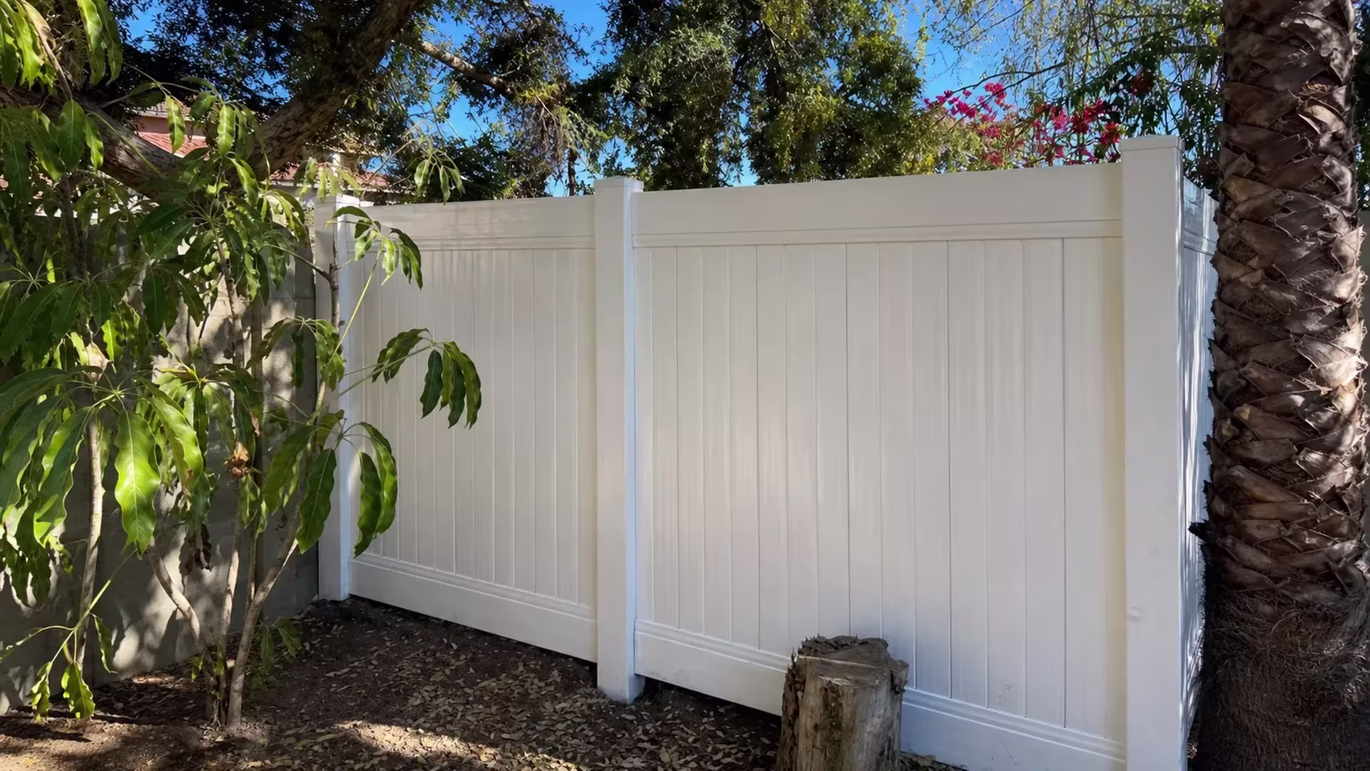 A cut tree stump and a leaning trunk rise beside this vinyl fence, finished in White, against a block wall in Granada Hills