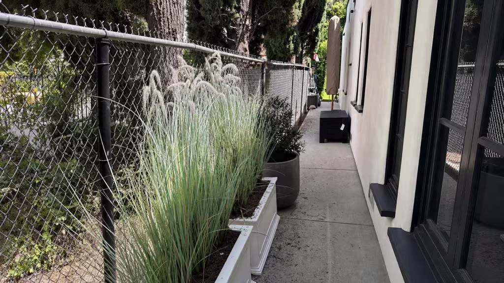 Before installation, a chain-link fence borders a narrow house walkway with tall ornamental grasses and potted plants.