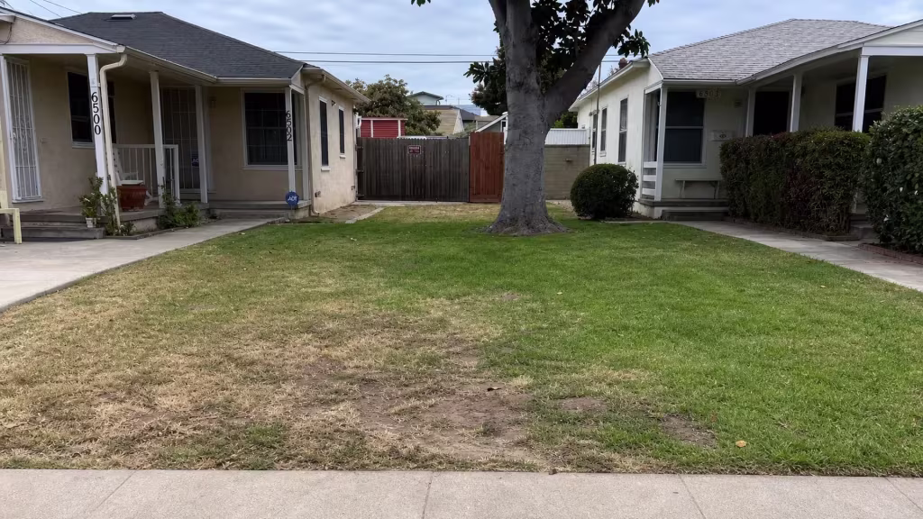 Before installation, a shared front lawn between two small houses has a large tree and an old wood driveway gate.