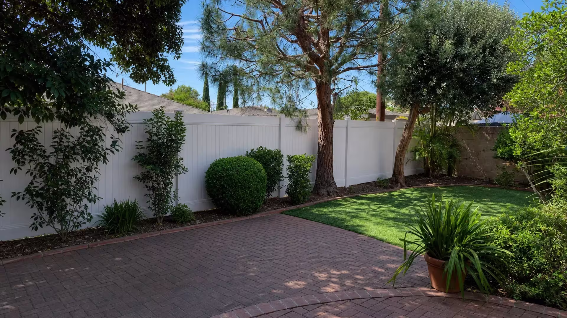 A tall pine tree rises beside this Tan vinyl privacy fence following planting beds in a Culver City garden