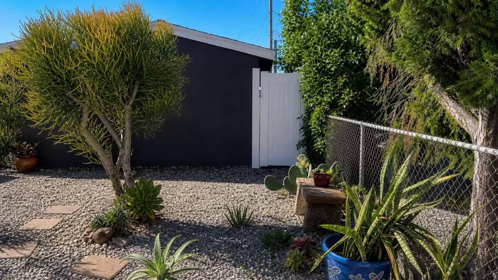 Succulents and a pedestal bench frame this Lakewood garden, and a White vertical vinyl picket fence closes with a gate