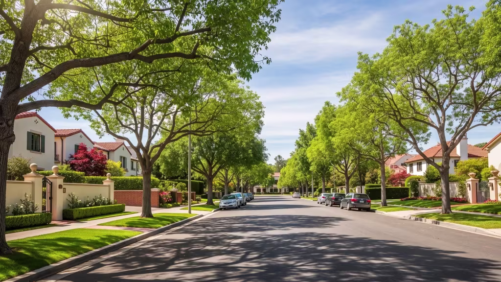 A quiet tree-lined residential avenue runs through San Marino at street level