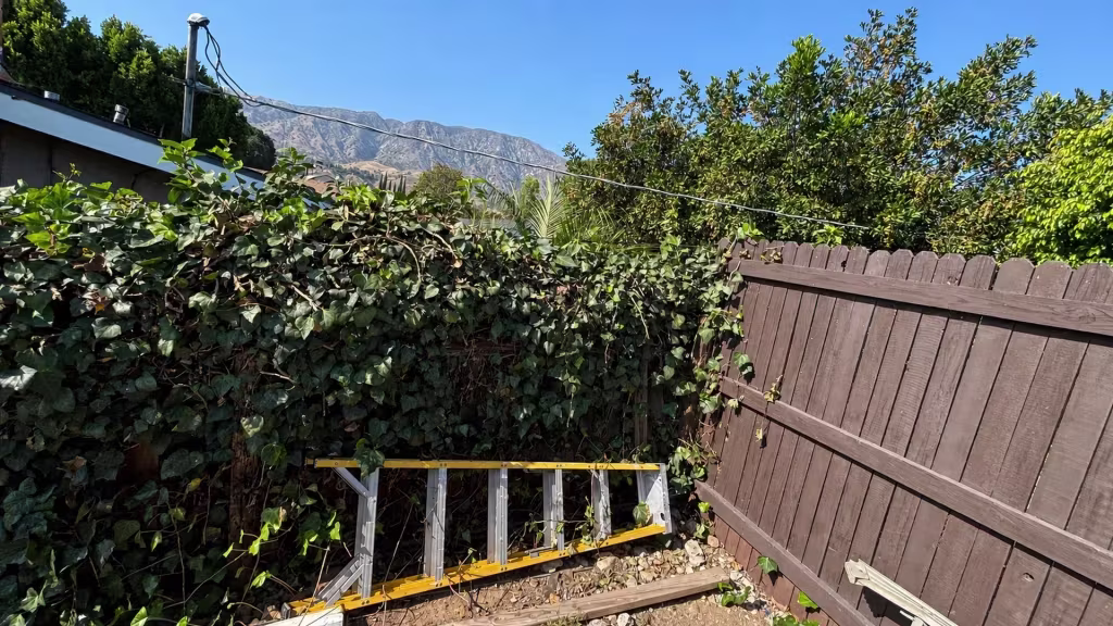 Before installation, a dark wood fence and dense ivy border a yard with a ladder and mountain view.