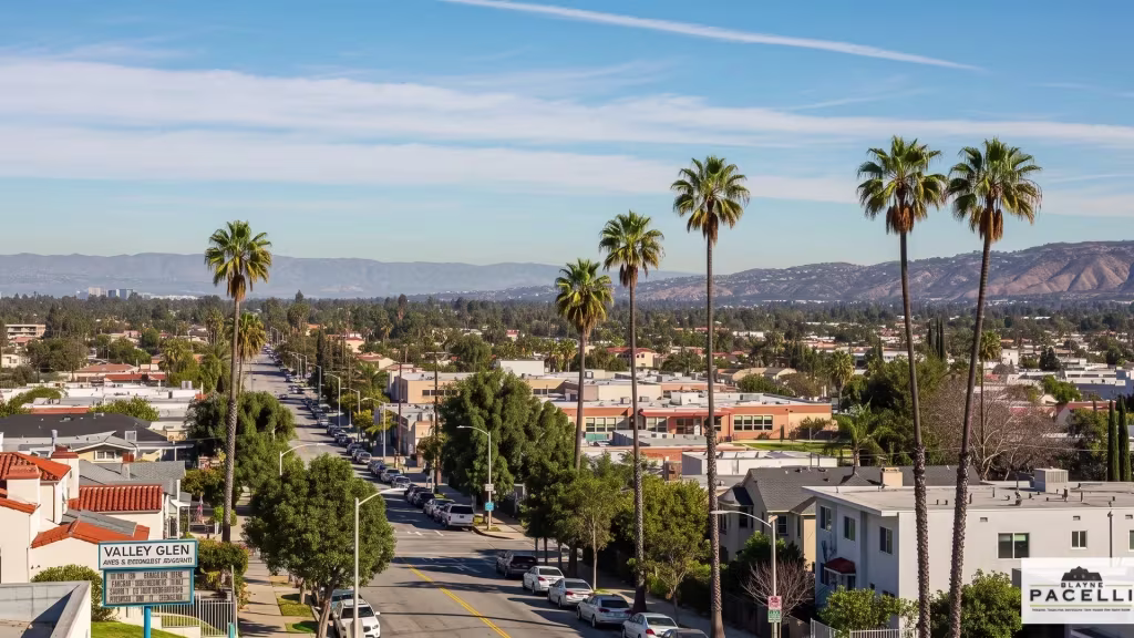 Elevated view over Valley Glen, a palm-lined avenue running through the neighborhood