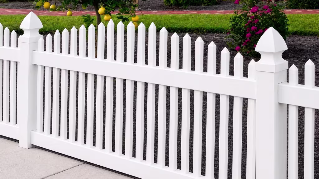 A citrus tree with ripening fruit stands beside this White vinyl arched picket fence and its flowering shrub bed