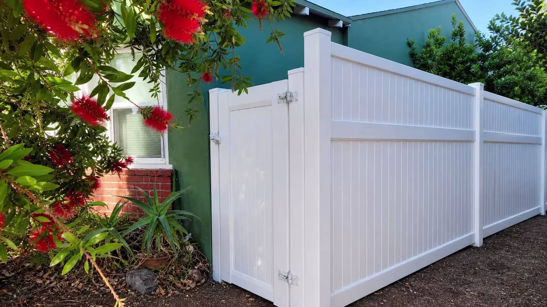 White vinyl privacy gate stands beside a green house wall, its brick planter edge holding aloe and a bottlebrush tree