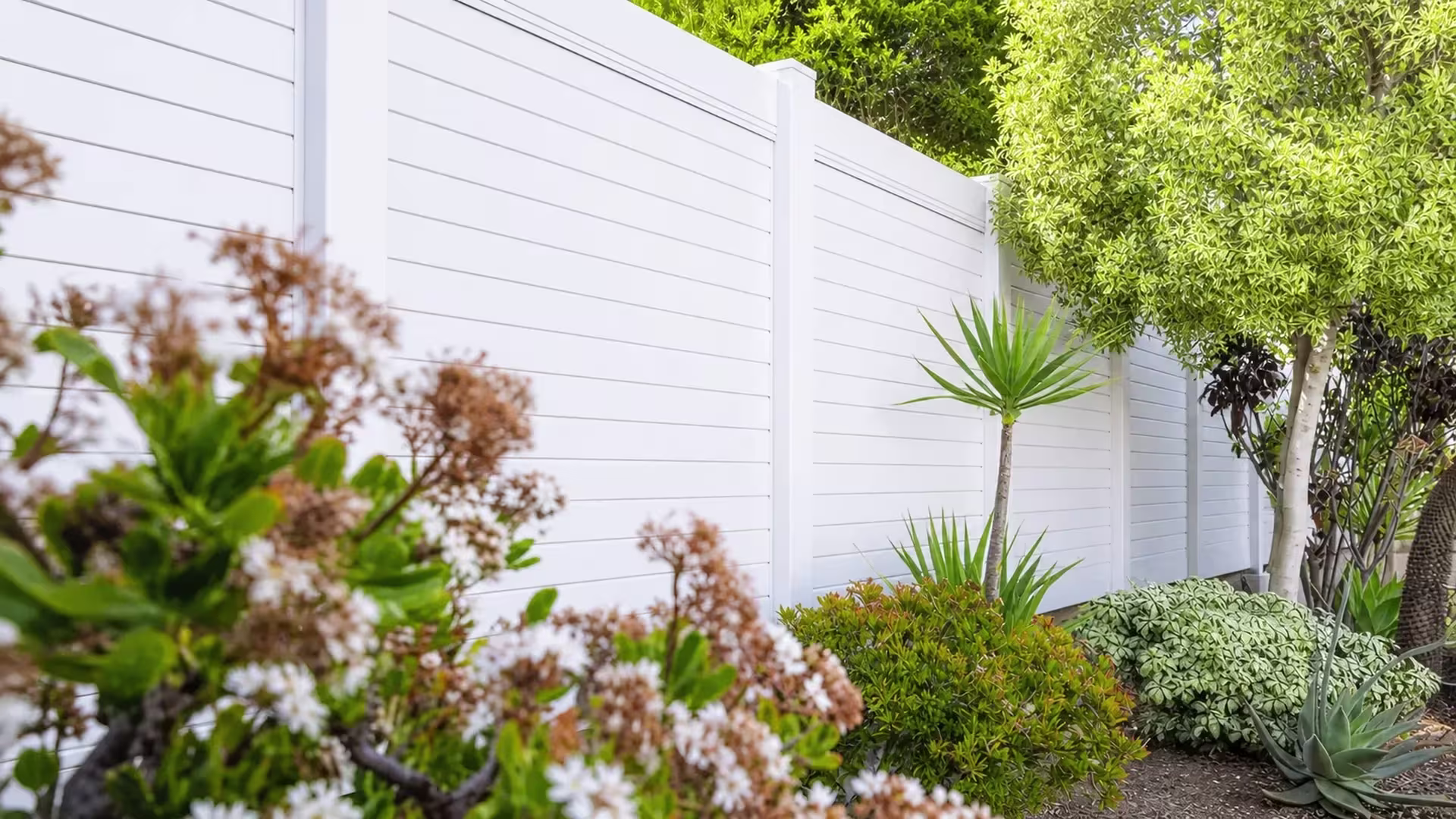Yucca plants and succulents border a White vinyl horizontal privacy fence along the garden edge