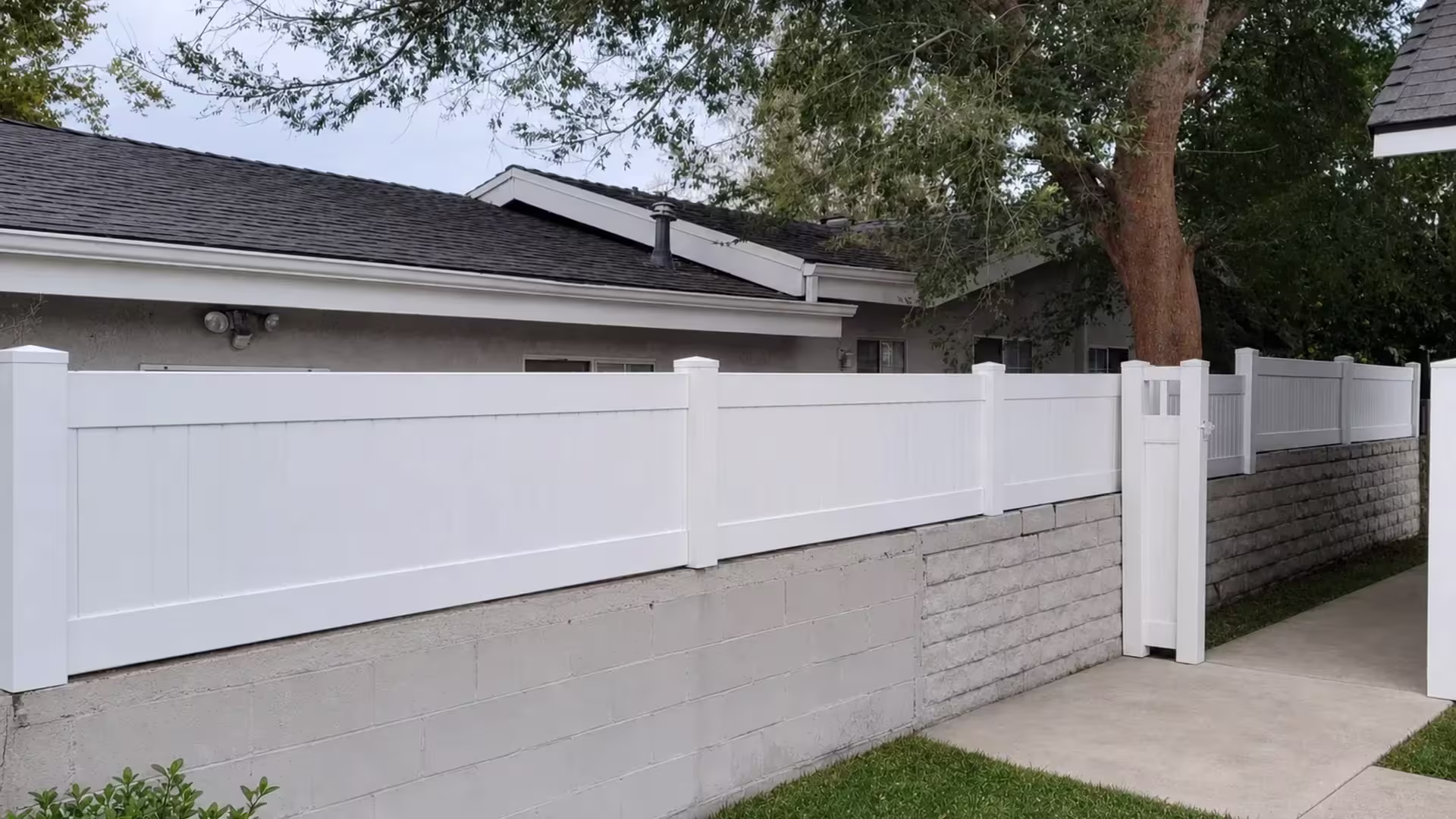Mature tree canopy spreads over a White vinyl privacy wall topper along the textured masonry wall