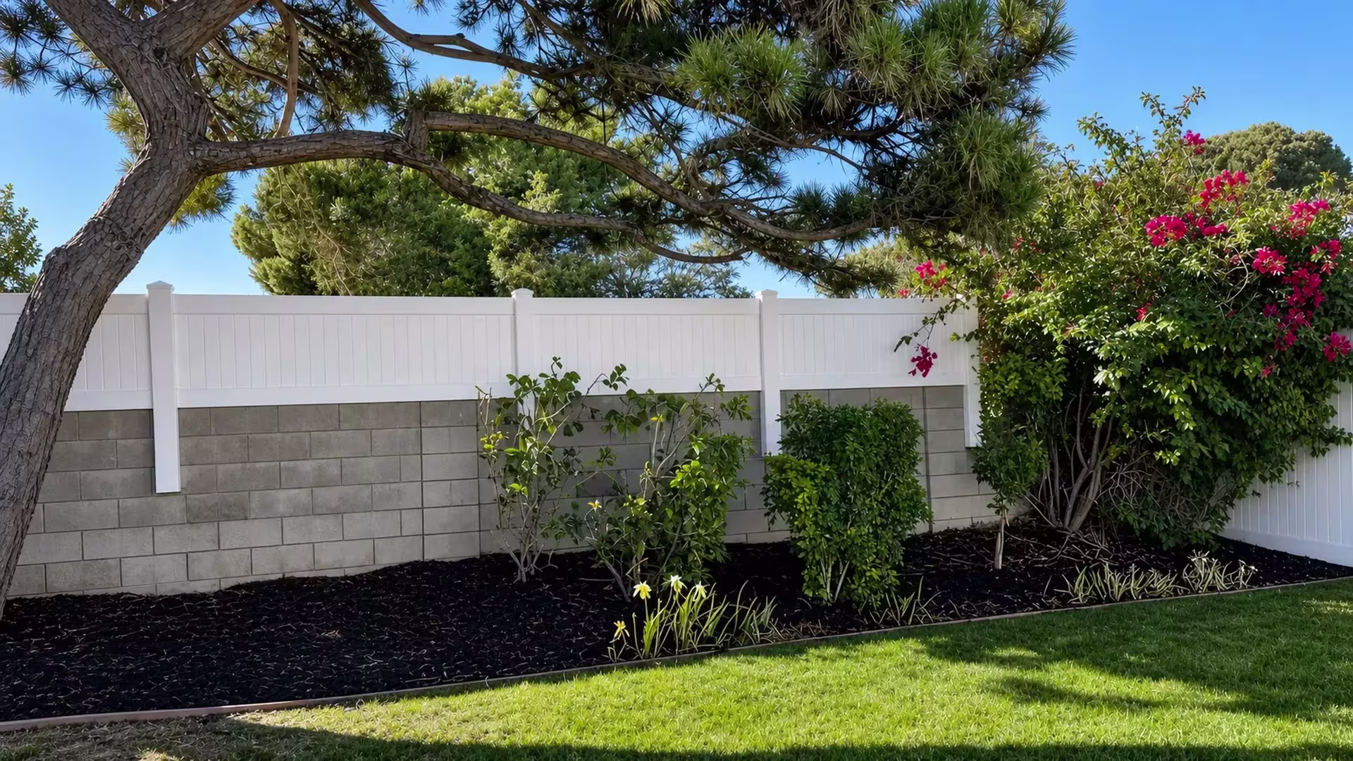 Gray block wall lined with a White vinyl wall topper between a sculptural pine tree and flowering bougainvillea