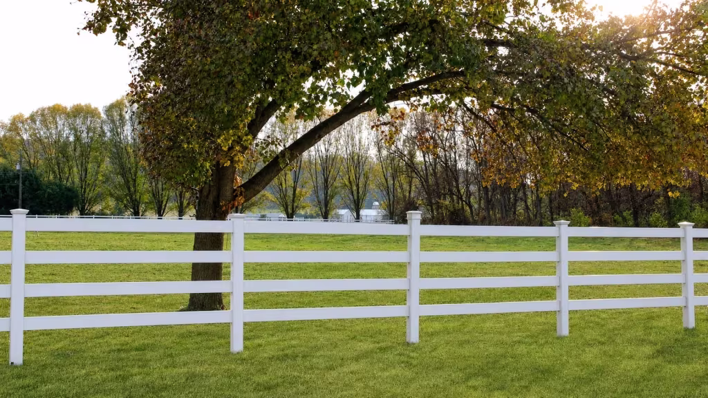 A broad canopy tree crosses over the line where four White vinyl rails run through an open field