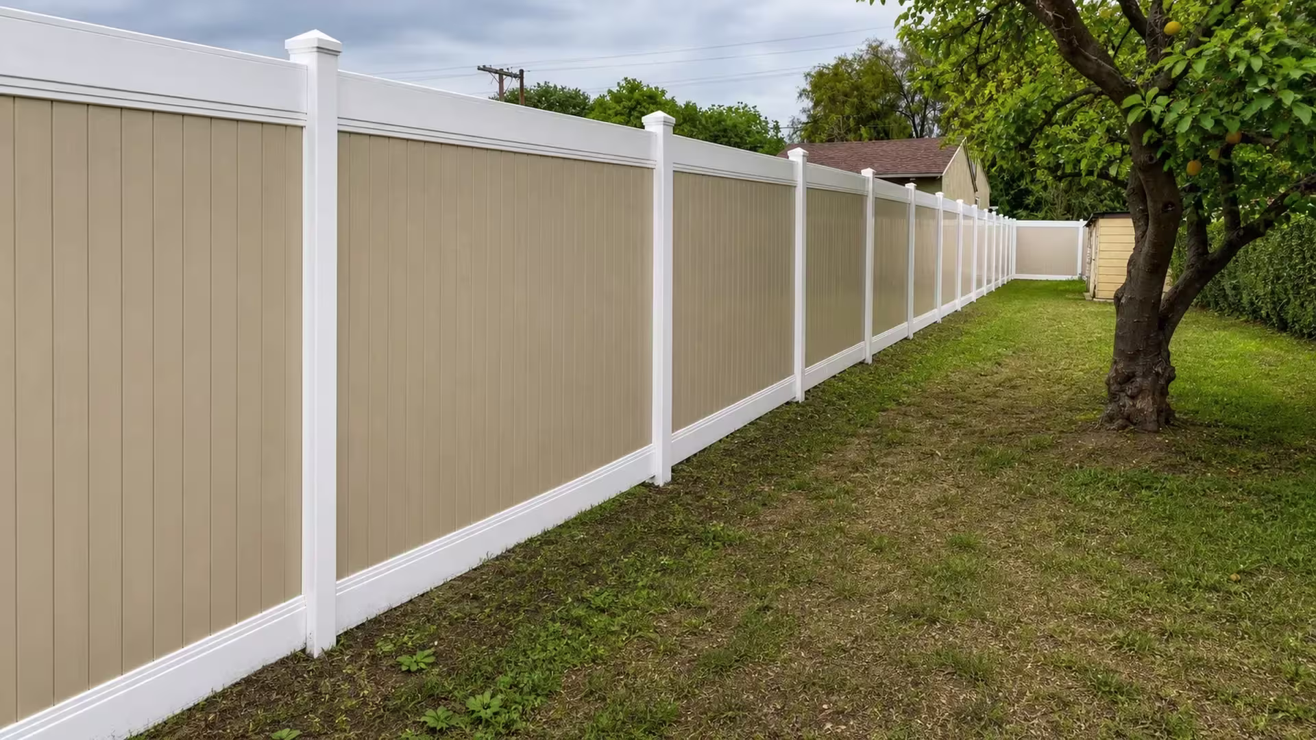 Tan vinyl two-tone fence running past a mature fruit tree and a small outbuilding