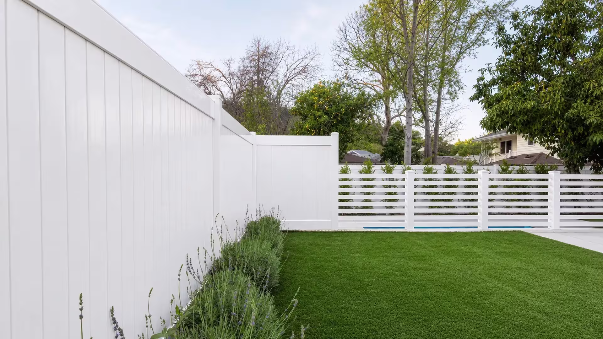 White vinyl privacy fence bordered by lavender planting and a fruiting citrus tree near the pool deck