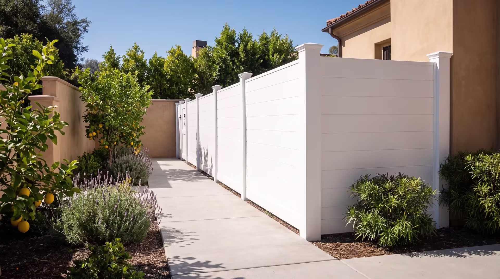Lemon trees and lavender frame this White aluminum privacy fence beside a broom-finished concrete walk