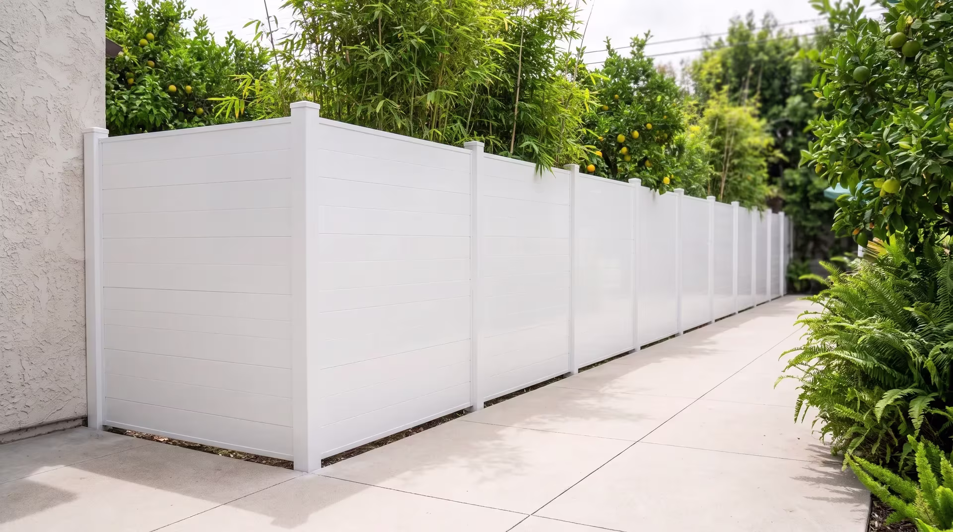 Bamboo clusters and ferns screen this White aluminum privacy fence ending against a restaurant's dining garden wall