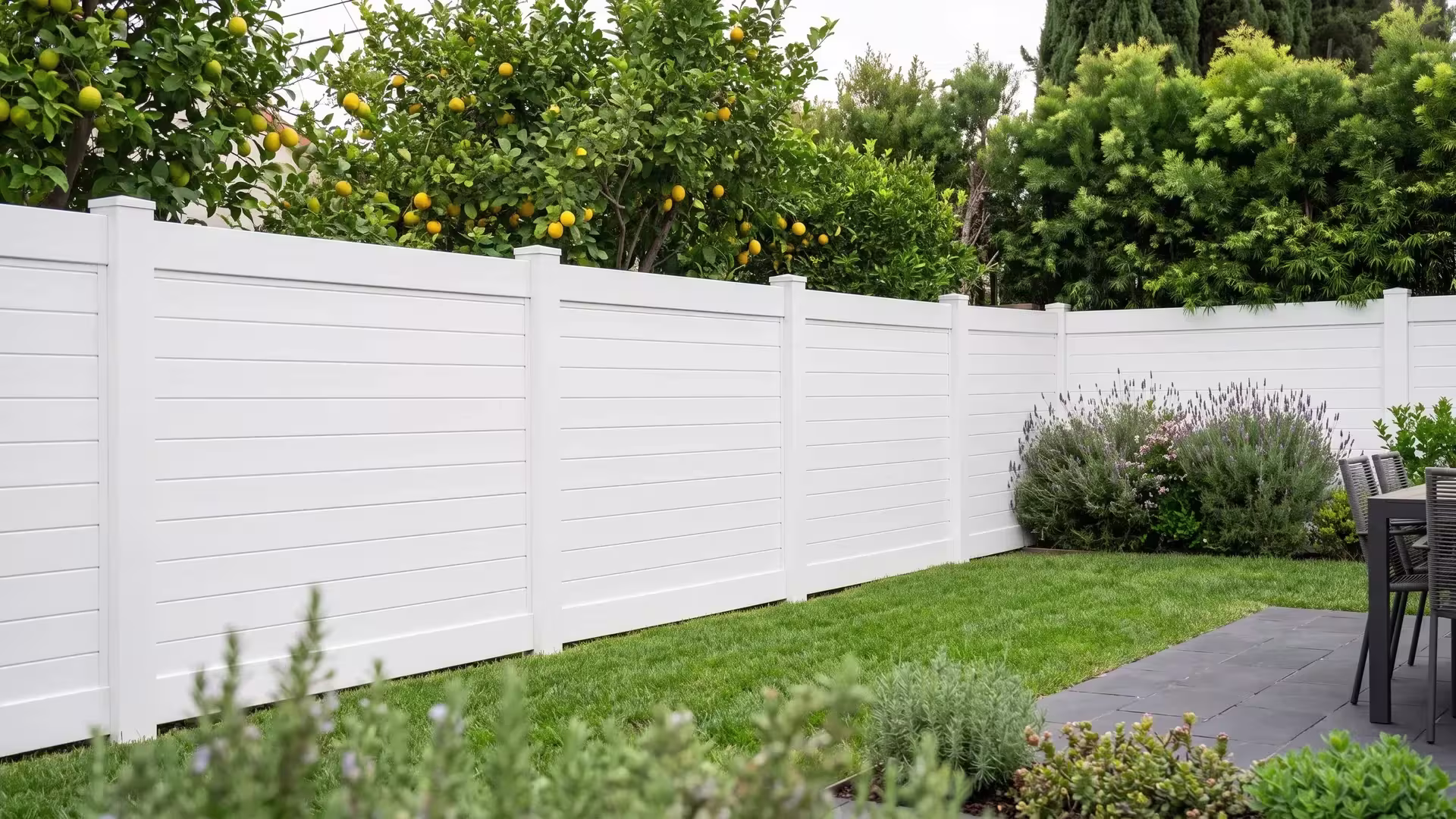 White vinyl horizontal privacy fence set beside lemon trees and podocarpus along a dark paver dining terrace