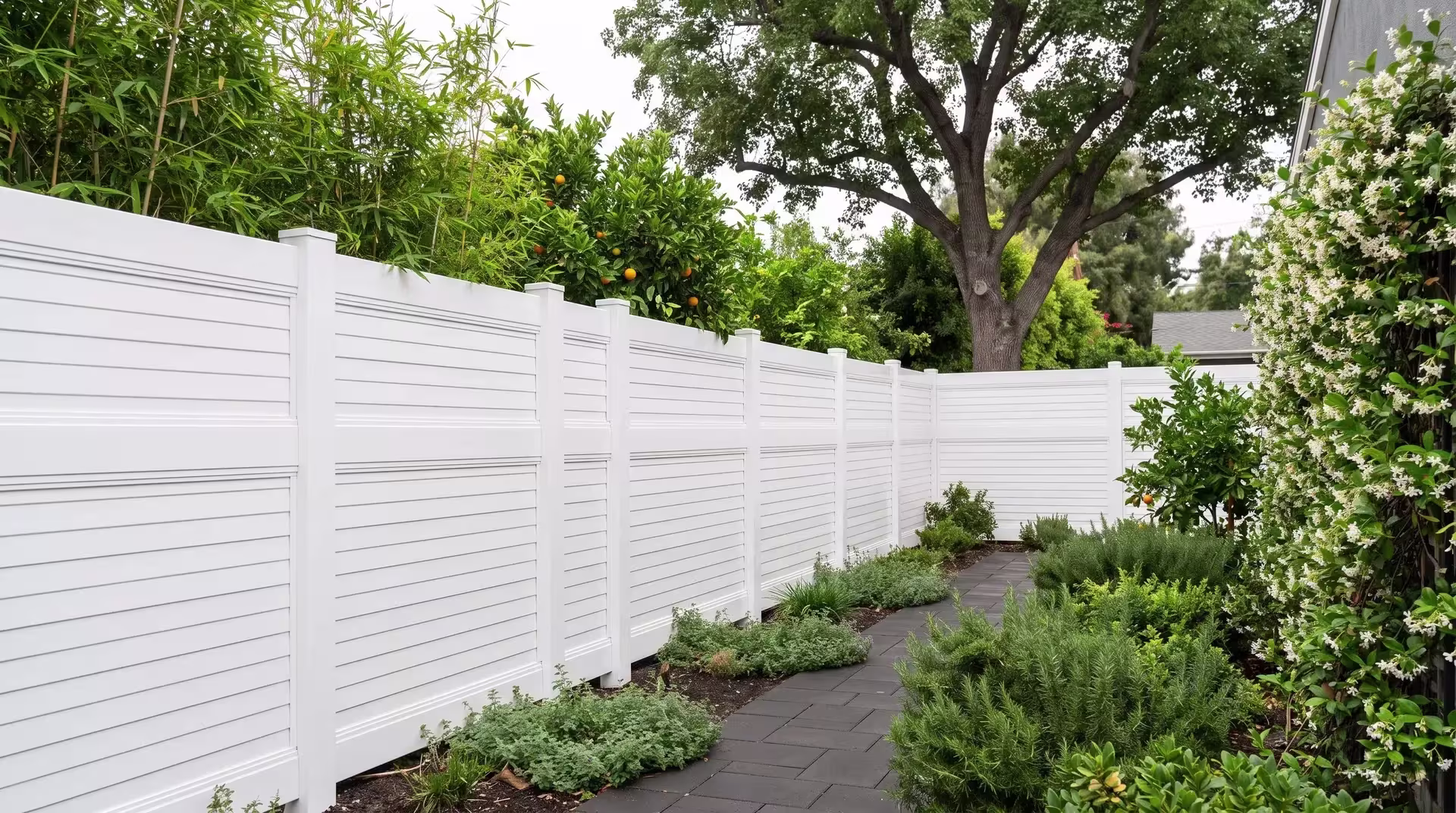A mature shade tree shelters this White vinyl horizontal privacy fence, edged by dark charcoal pavers
