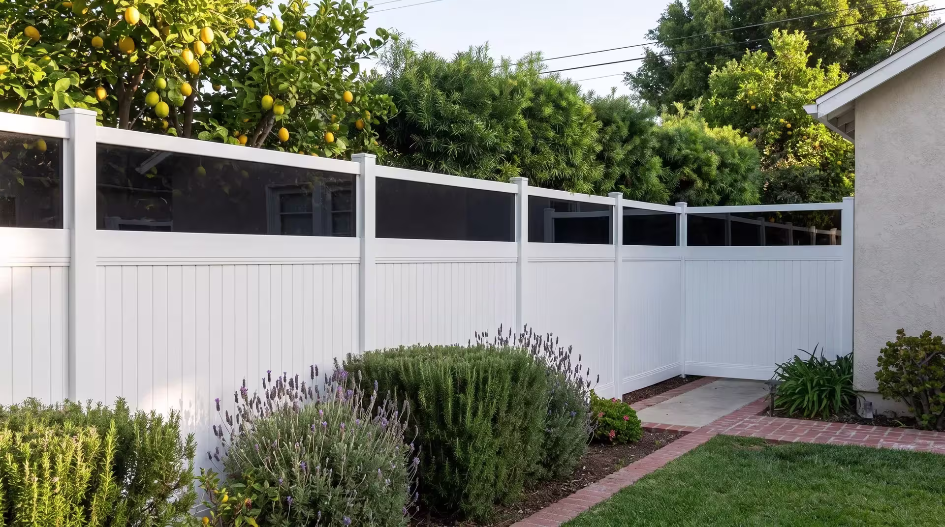 A White vertical vinyl privacy fence lined with clear acrylic borders lemon trees and lavender along a brick path