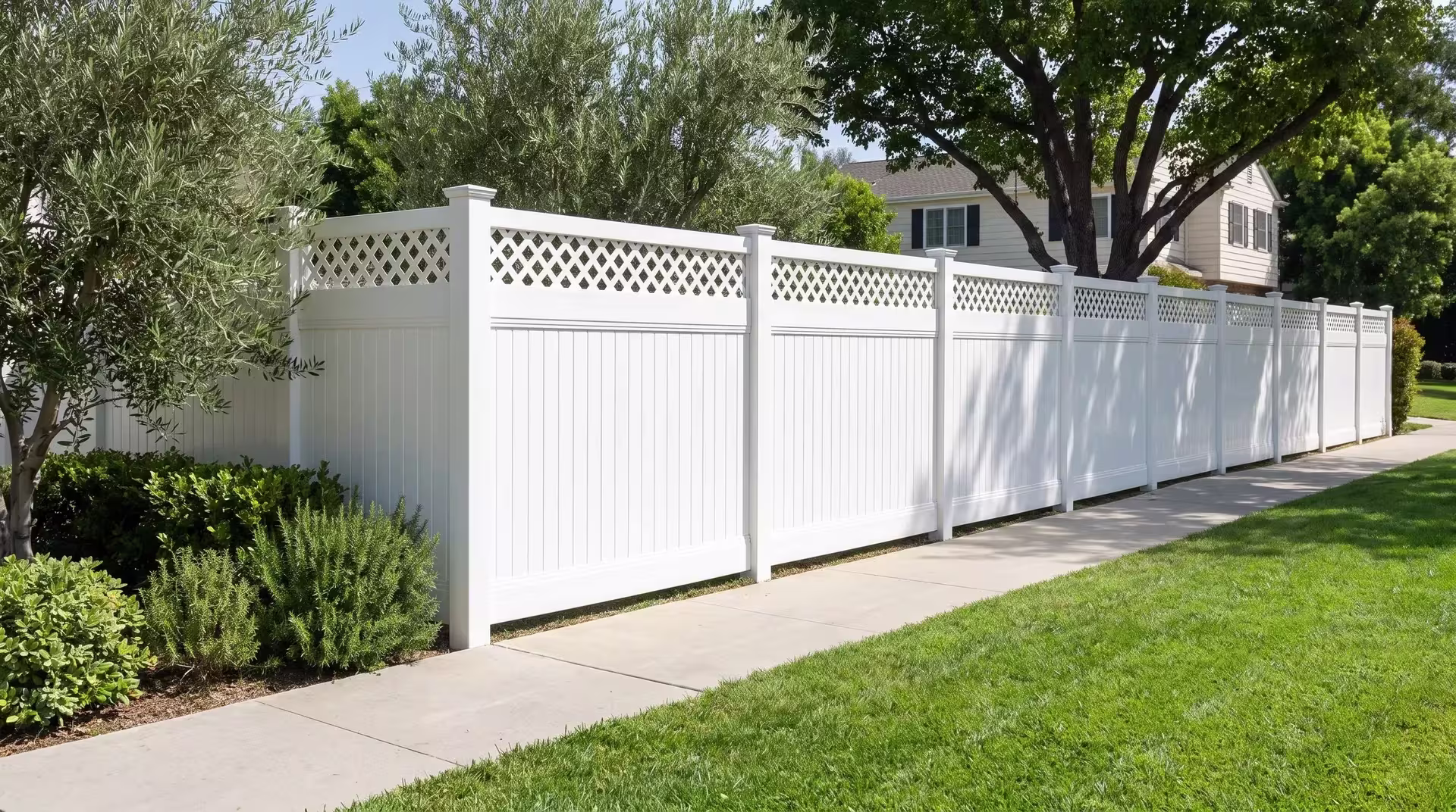 Mature olive trees line the broom-finished concrete walk beside a White vinyl privacy fence fitted with a lattice top