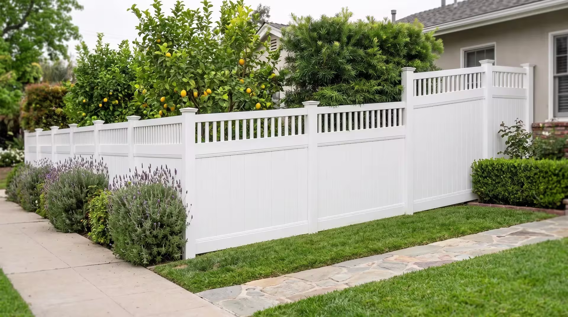 White vinyl fence combines a picket top with vertical privacy boards along a narrow flagstone walk past lemon trees